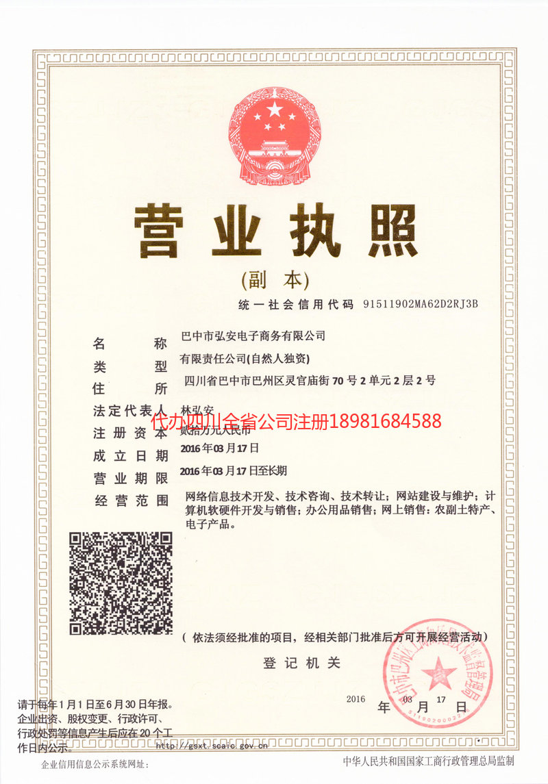 安庆安庆宏安电子商务有限公司